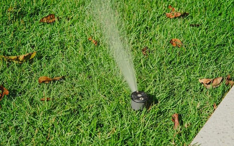 Irrigation sprinkler head spraying across a lawn scattered with fallen fall leaves
