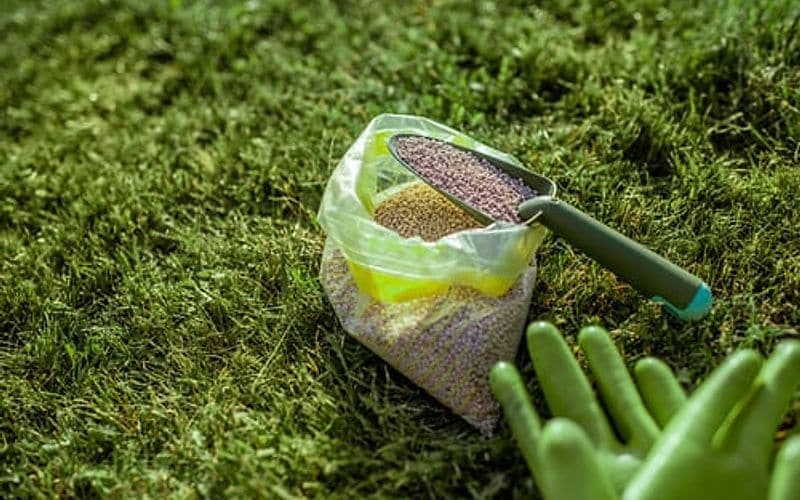 Bag of lawn fertilizer with a hand spreader and gloves resting on a healthy green lawn